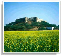 Alwar Fort