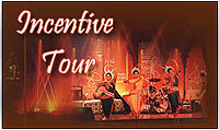Incentive  Tours
