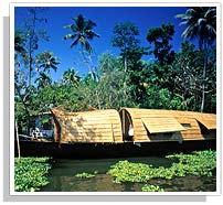 Classic Kerala with Backwater 
