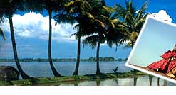Kerala Backwater