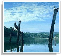 Periyar Sanctuary
