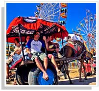Pushkar Fair - Pushkar