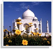 Taj Mahal - Agra